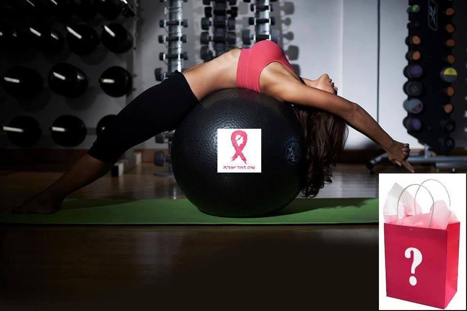 Төслийн зураг